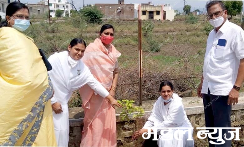 Tree-Planting-amravati-mandal