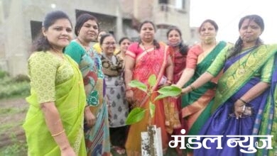 tree-planting-amravati-mandal