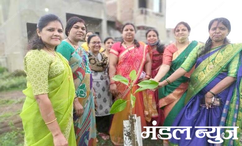 tree-planting-amravati-mandal