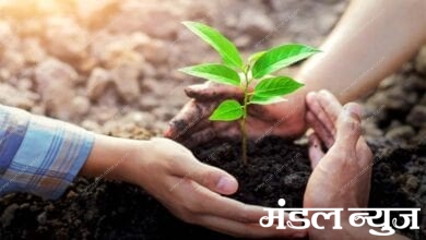 Tree-planting-campaign-amravati-mandal