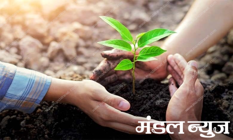 Tree-planting-campaign-amravati-mandal