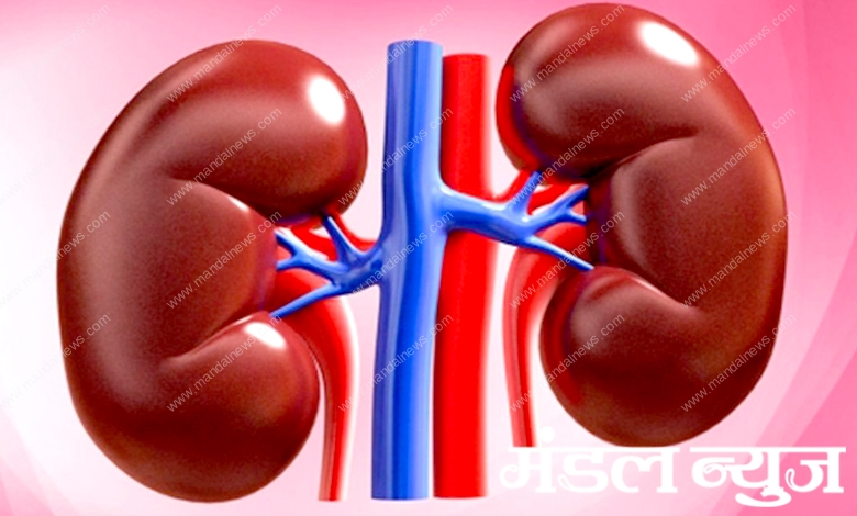 Kidney-amravati-mandal