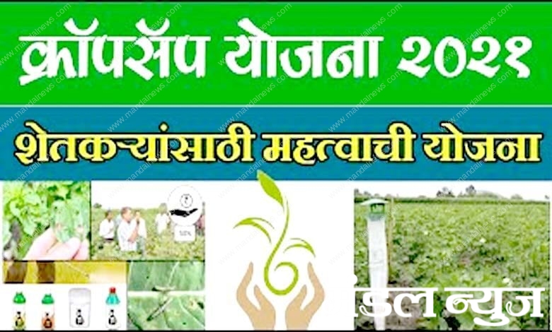 Cropsap-Plan-amravati-mandal