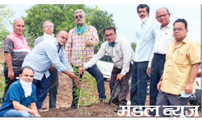 Plantation-amravati-mandal