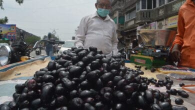 photo-caption-amravati-mandal