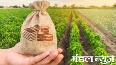 Farmer-Amravati-Mandal