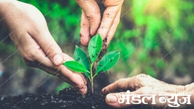 Save-Nature-Amravati-Mandal