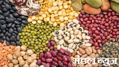 Seeds-Amravati-Mandal