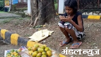 girl-selling-mango-amravati-mandal