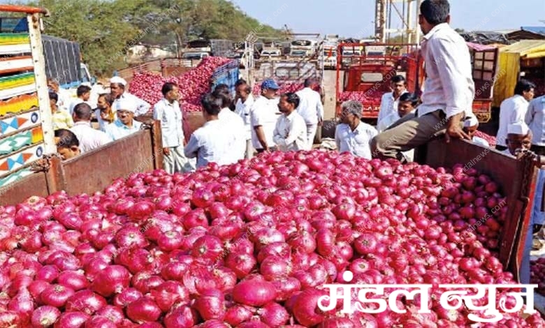 onion-amravati-mandal