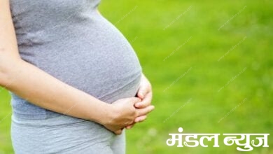 pregnant-women-amravati-mandal