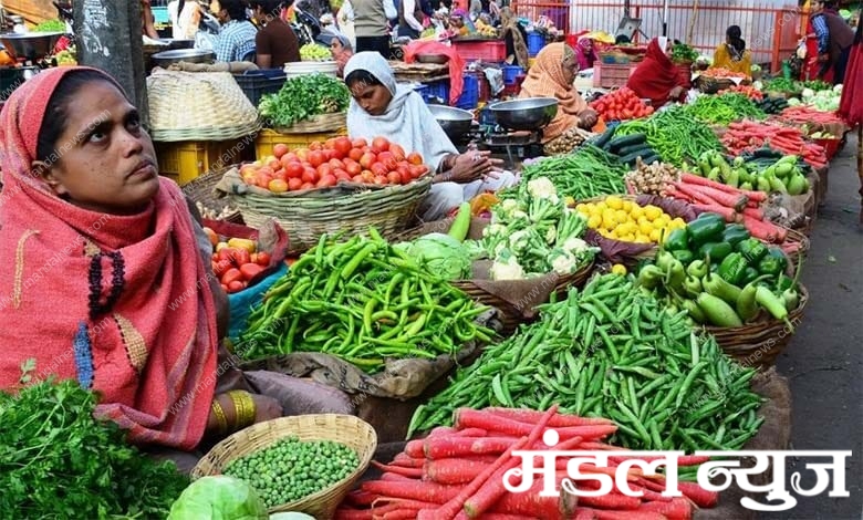 sabji-market-amravati-mandal
