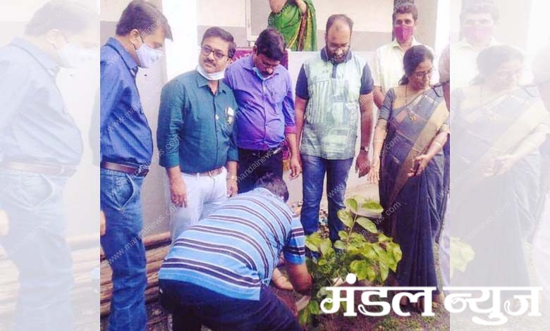 Tree-Planting-amravati-mandal