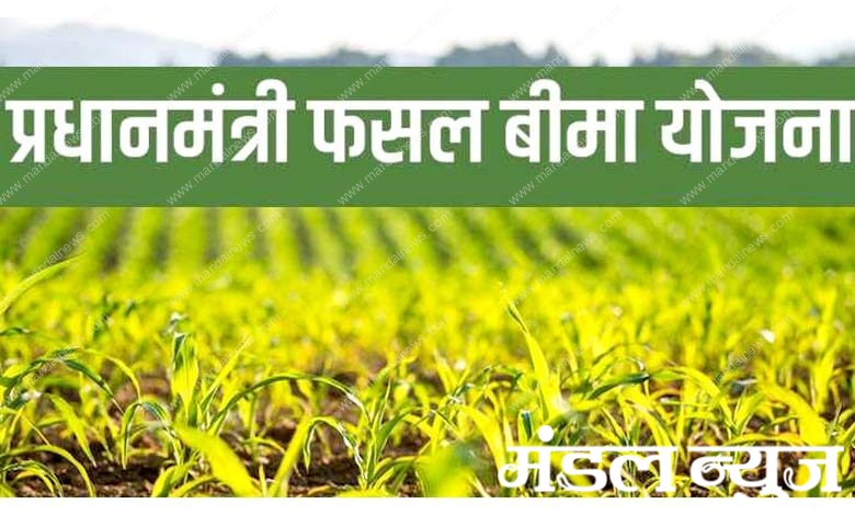 Crop-insurance-amravati-mandal