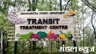 Transit-Treatment-Center-amravati-mandal