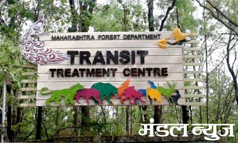 Transit-Treatment-Center-amravati-mandal