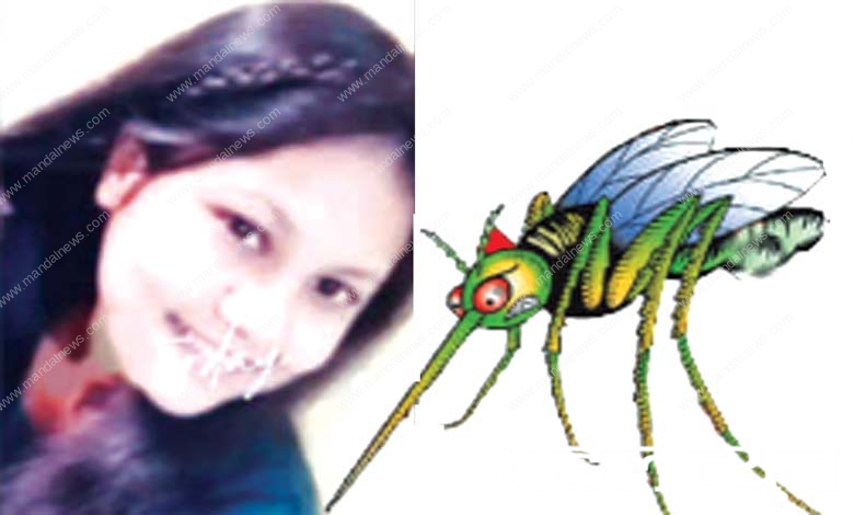 Dengue-Amravati-Mandal