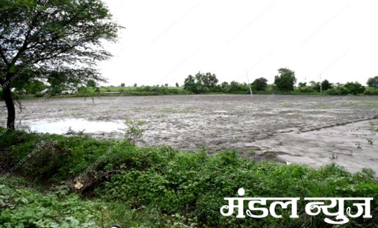 Damage-to-Crop-amravati-mandal