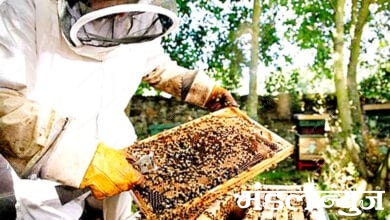 beekeeping-scheme-amravati-mandal
