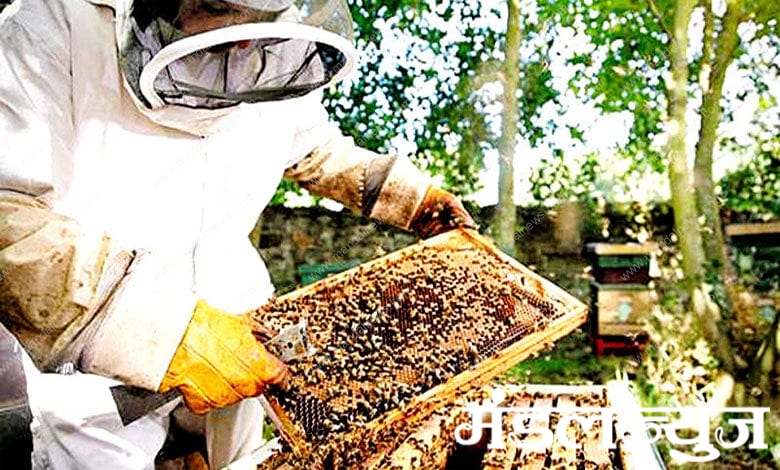 beekeeping-scheme-amravati-mandal