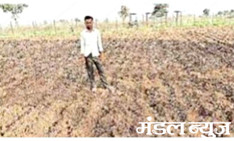 Farmer-amravati-mandal