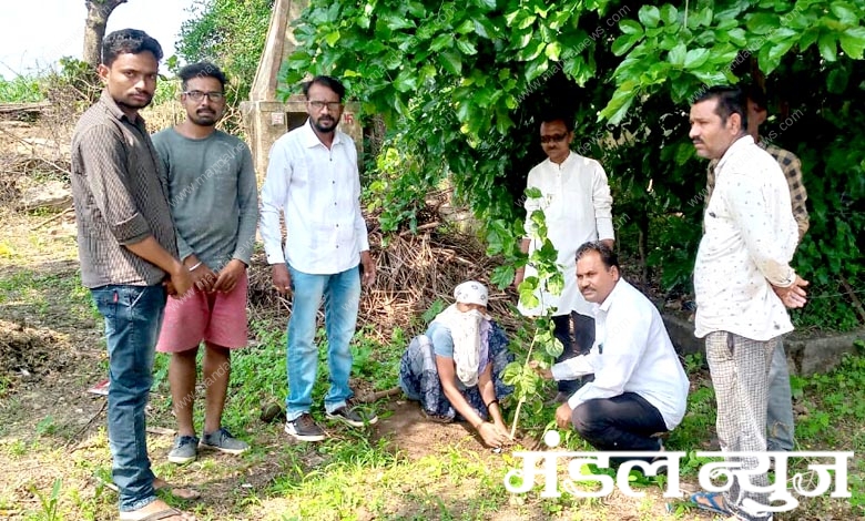 tree-planting-amravati-mandal