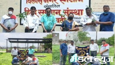 Tree-Planting-amravati-mandal