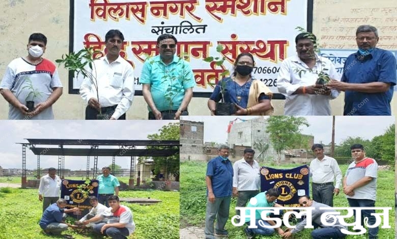 Tree-Planting-amravati-mandal