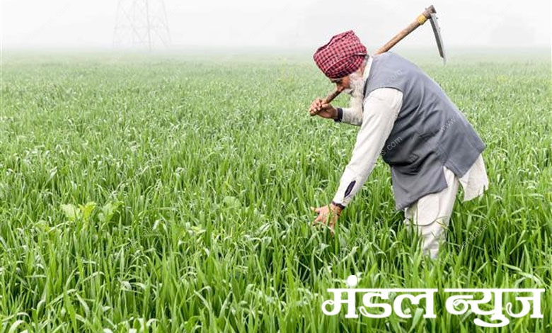 Farmer-amravati-mandal