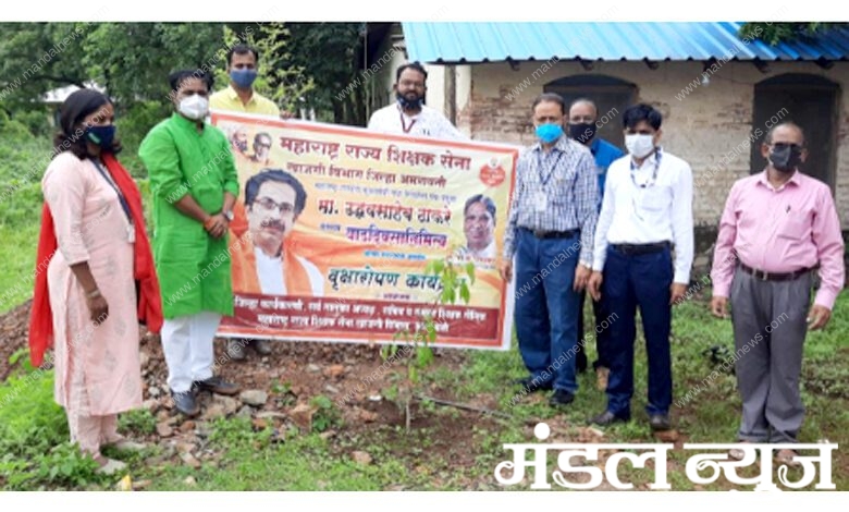 Tree-Planting-amravati-mandal