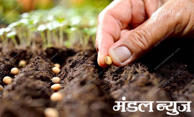 Sowing-amravati-mandal