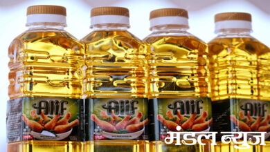 Palm-Oil-Amravati-Mandal