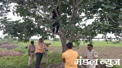 Suicide-Amravati-Mandal