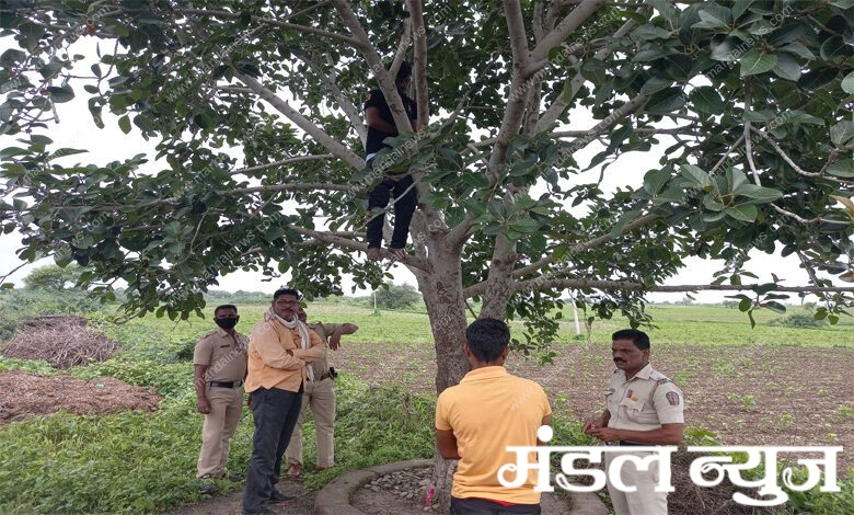 Suicide-Amravati-Mandal