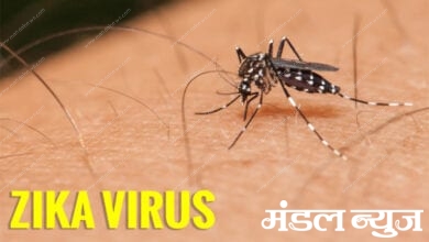 Zika-Virus-Amravati-Mandal