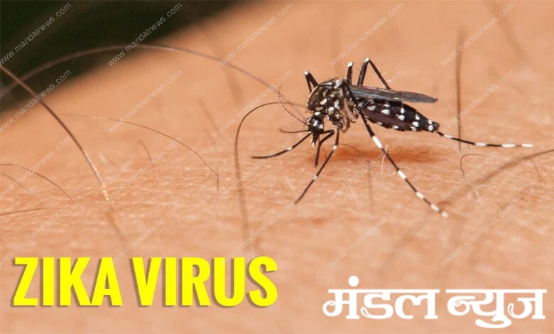 Zika-Virus-Amravati-Mandal