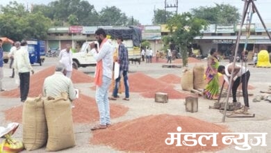 crop-market-amravati-mandal