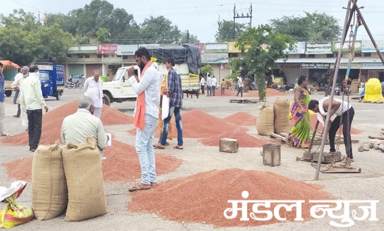 crop-market-amravati-mandal