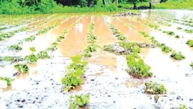 flood-amravati-mandal