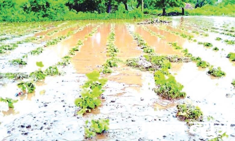 flood-amravati-mandal