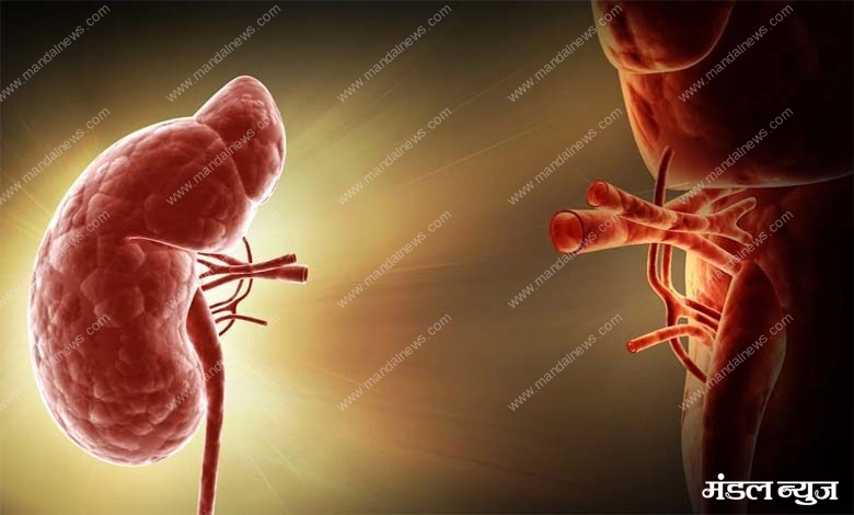 kidney-implant-amravati-mandal