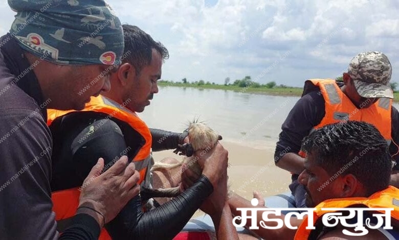 rescue-amravati-mandal