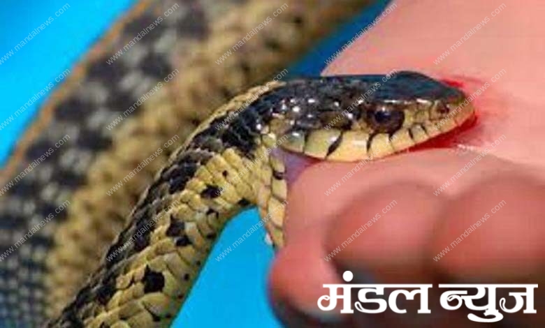 snake-amravati-mandal