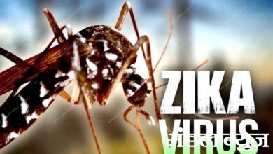 Zika-Virus-amravati-mandal