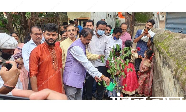 Plant-Planting-amravati-mandal