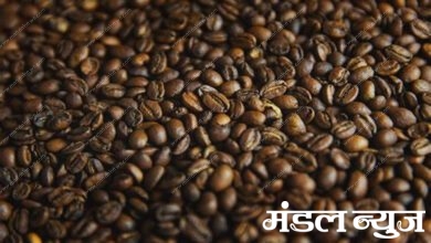 Coffee-Amravati-Mandal