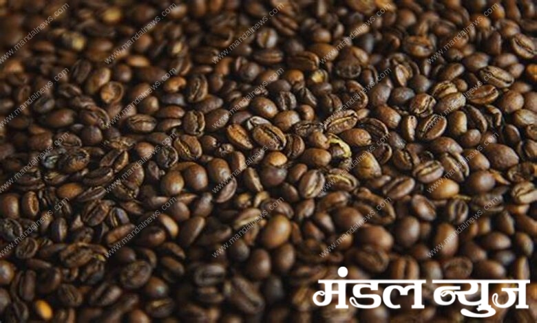 Coffee-Amravati-Mandal