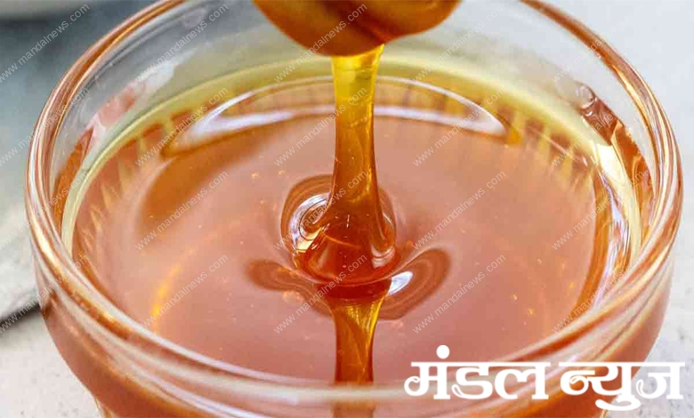 Honey-Amravati-Mandal