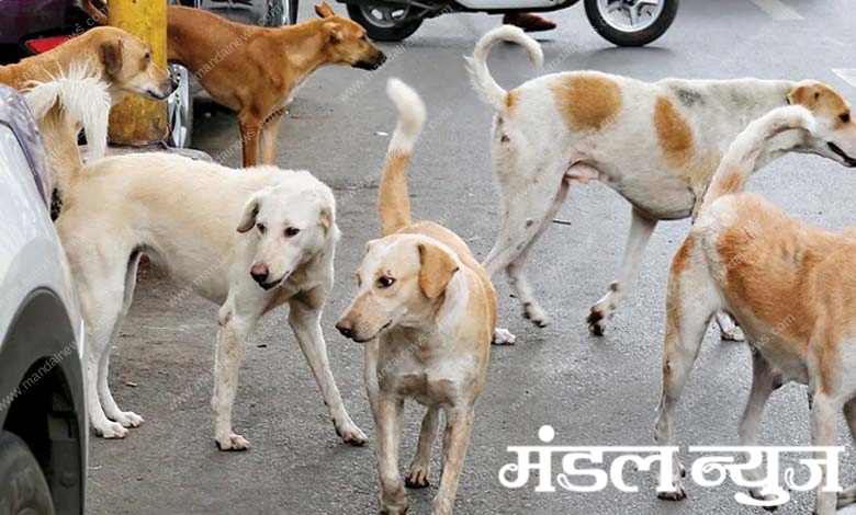 dog-amravati-mandal