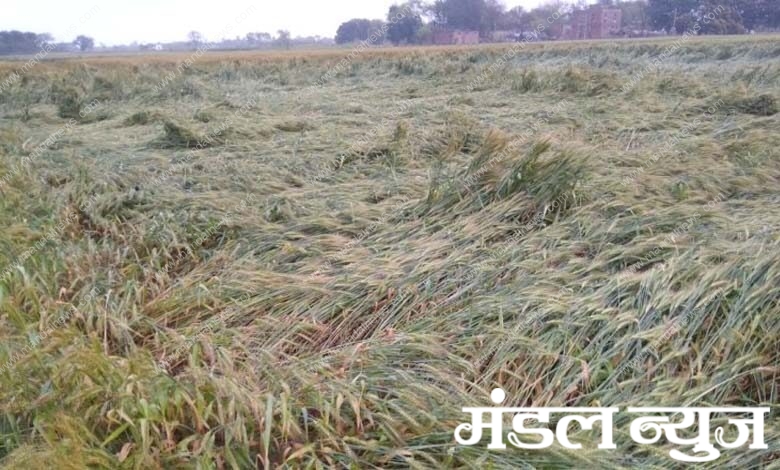 farm-amravati-mandal